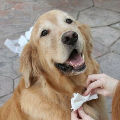 tkhudgins's profile picture. 