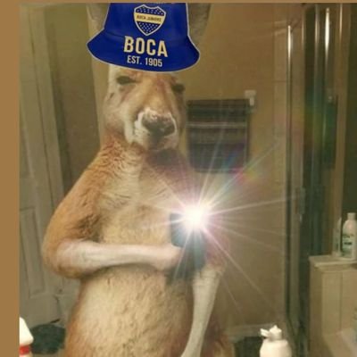 R0nn_pik2's profile picture. ¿?