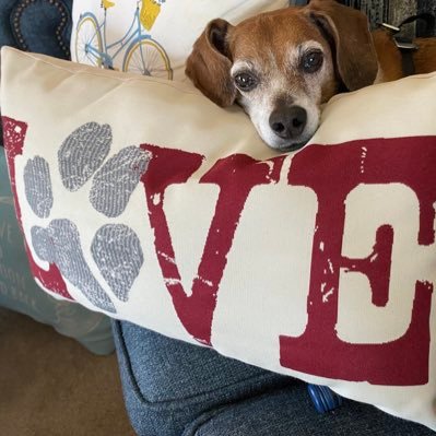 moral_evolution's profile picture. 