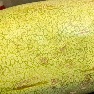 Tagton4's profile picture. Baronyyyy