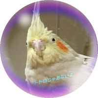 月と手袋 (@tsukite55) 's Twitter Profile