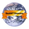 BestNFTDomains's profile picture. Selling the best NFT domains.