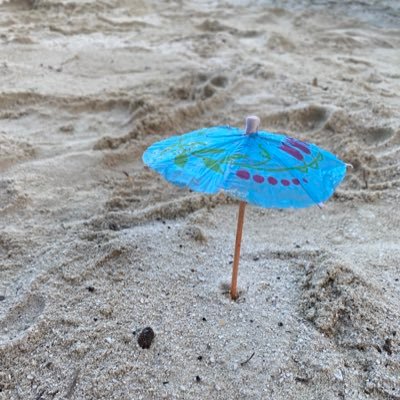 TVasquezWhite's profile picture. Mom, wife, friend, daughter. Lover of nature, hiking, books, pickleball and podcasts. Slightly obsessed w/ BTS, K Dramas, British period dramas & time travel.