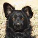 Eddie Thacker - @EddieThacker - Twitter