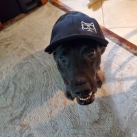 MadDog1776 (@curt_gallia) 's Twitter Profile Photo MadDog1776 (@curt_gallia) 's Twitter Profile Photo