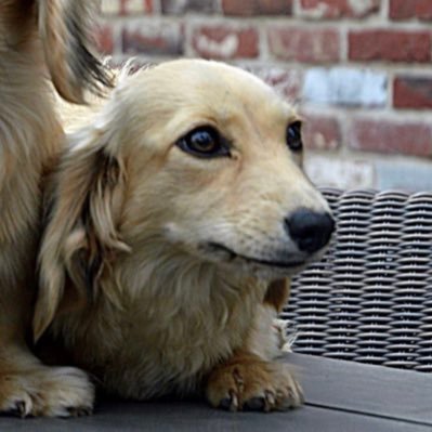 lauratx's profile picture. 