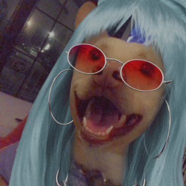 BadGurlNiNi's profile picture. retired barb