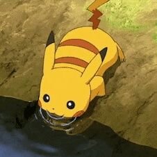 SSiiNNaaSSii's profile picture. 얌전히 구독만 하는 계정 (20⬆️)