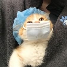 hoochoo0514's profile picture. 