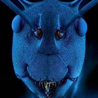 naoquod's profile picture. Labor lawyer. @lpe_nyc