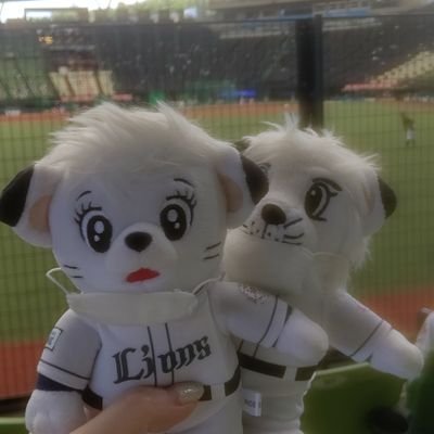 埼玉西武ライオンズを熱く応援しています🦁
現地でタオル掲げて青炎がデフォ
お話できる人が増えたら嬉しいなと思って専用アカウントを作りました
基本ぼっち観戦してますがマスク着用のレオ&ライナを見かけたらお声掛けいただけると喜びます✨
よろしくお願いいたします🙇