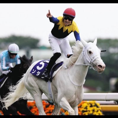 🐎馬の魅力に魅せられて🐴人馬共に無事であります様に。全てのお馬さんが幸多く過ごせます様に✨