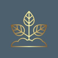 Ideation Ag (@ideationag) 's Twitter Profile