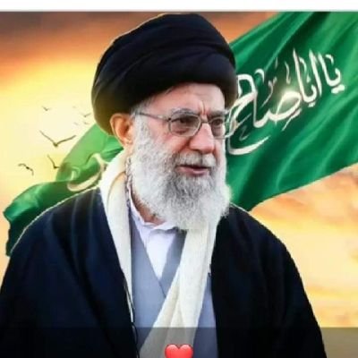 wajdlashari's profile picture. 