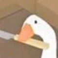 MorganTheDuckさんのプロフィール画像