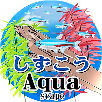 shizukou_aqua Profile Picture