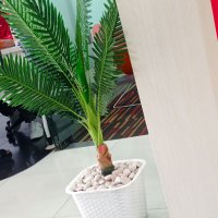 Alam_ (@ai_alam_) 's Twitter Profile