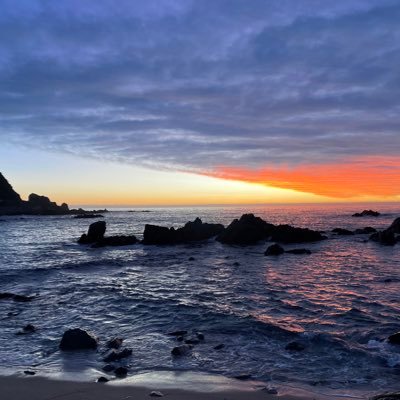 cesariozapato's profile picture. 