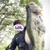 yuma (@ym_fishing) Twitter profile photo yuma (@ym_fishing) Twitter profile photo