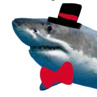 shark (Comms closed) (@humblesharknsfw) 's Twitter Profile Photo shark (Comms closed) (@humblesharknsfw) 's Twitter Profile Photo