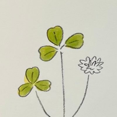 Isaiah_40_08's profile picture. 司書 | SYCOMORE（CHANEL） | 三諸杉（奈良・三輪）