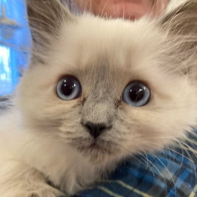 n2_fya's profile picture. Ham Radio. I presently operate on FM satellites AO-91, SO-50, AO-27, ISS and LilacSat2. Linear Satellites soon.   UPDATE: March 2023, now on Linear Satellites.