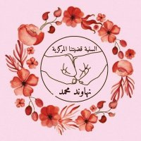 نهاوند محمد (@n45rt) 's Twitter Profile Photo نهاوند محمد (@n45rt) 's Twitter Profile Photo
