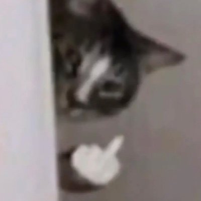 Orchidphobia's profile picture. Cock