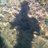 giovannimonizzi's profile image