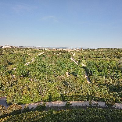 Movimiento ciudadano para dejar una España mucho más verde y llena de vida a las generaciones futuras