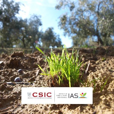 Investigamos para tener una agricultura sostenible
Researching to get a sustainable agriculture

@soil_bio
#cienciaparalaagricultura