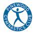 The objective of the club is to enable children and adults of all ages & abilities to enjoy the healthy pursuit of a variety of gymnastic orientated activities