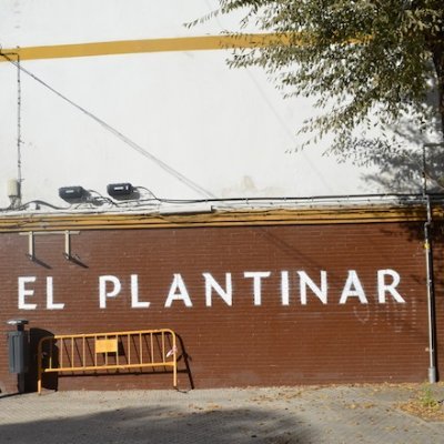Mi infancia son recuerdos de la calle Ulía y un patio en Las Gardenias donde madura la vida.