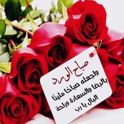 AhmedNa85105957's profile picture. 