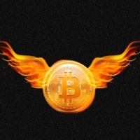 Crypto Fire (@cryptofireone) 's Twitter Profile