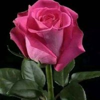 💯HARİKA (Figen)💯 (@enbeyazmelek) Twitter profile photo