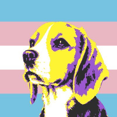 Anarchist, lovable nerd, post-hardcore/emo enjoyer, transfemme non-binary (she/they)

Demand trans liberation 🏳️‍⚧️