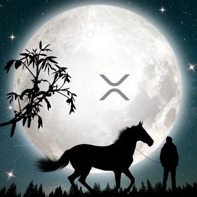 abdoabd81247888's profile picture. 