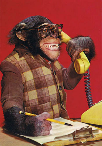 mrevenson's profile picture. I owe a lot to my parents. Especially my mother and father. - The Shark