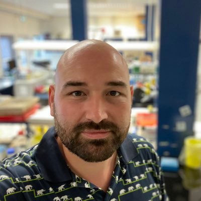 Jeroen Bremer Profile