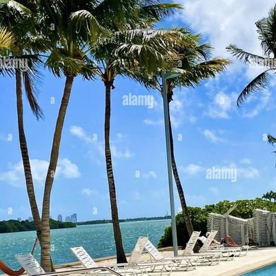 BettingProfits4's profile picture. Pro Punter
Want to break all Bookies