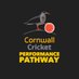 Cornwall Performance Pathway (@CornwallPathway) Twitter profile photo