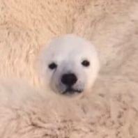ㄱ ㅐ울さんのプロフィール画像