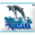 Bapi Chatterjee - @niagaragroup - Twitter