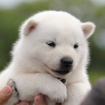 koizakura0735's profile picture. 北九州市を中心に街ブラLiveやベランダでプランター栽培と空模様をタイムラプス撮影してYouTube投稿配信してます