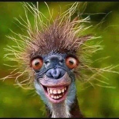 ChelmsfordMaria's profile picture. No to State Injectable! 
No Masks,Keep Cash Alive!
No Ukraine flags or Covid poison on profile