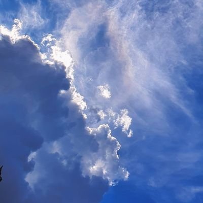 choc0latepiee's profile picture. SABAR LAGI LIMIT