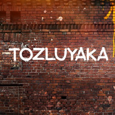 tozluyakafox Profile Picture