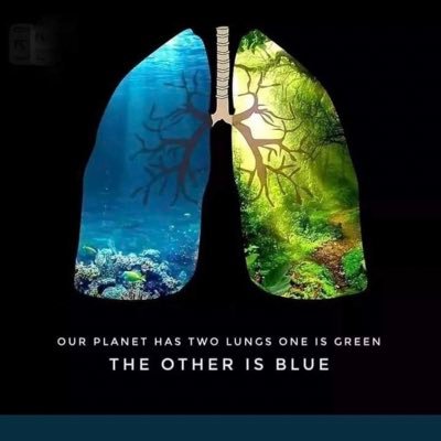 Life science bckgd, meditation, vol @ishausa. @VanderbiltU alumna. Dig science & arts w/heart. Highest tech is life itself-our irreplaceable soil, water, air.