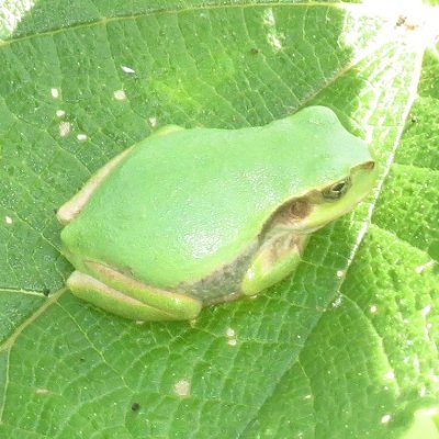 思想家・謎解き本作家
バラモン教を信仰
豊田市博物館パートナー

https://t.co/kmAQbtYVPq